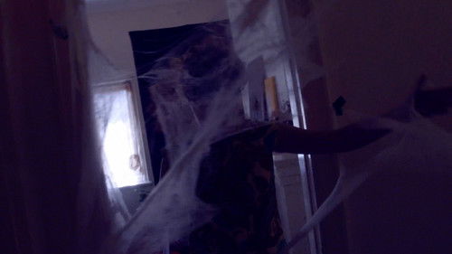 Along came a spider Bild 1