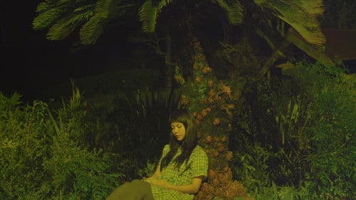 きいろいゾウ Bild 6