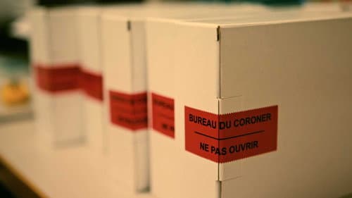 Coroner : la voix des victimes Bild 4