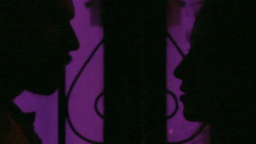 Viviendo aquí Bild 2