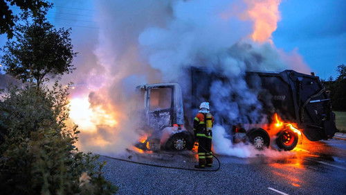 Forbrydelser der rystede Danmark Bild 1