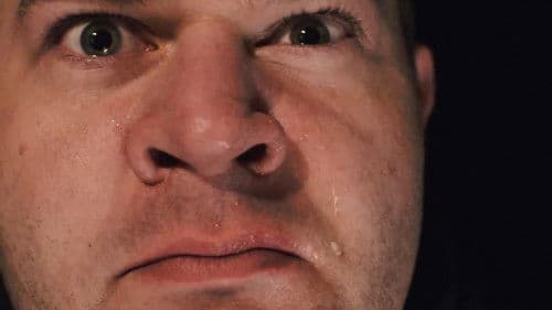 Wünder Pitsa Bild 1