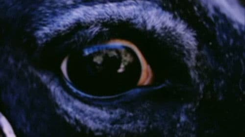 Valentin de las Sierras Bild 1