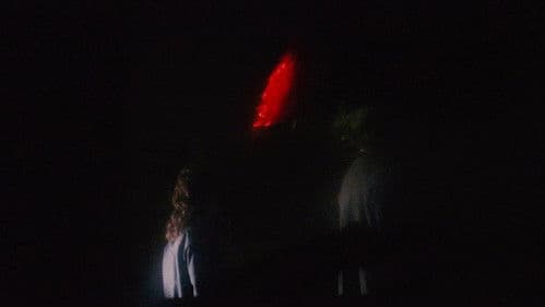 Max et les Étranges Bild 3