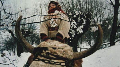 Така пізня, така тепла осінь Bild 6