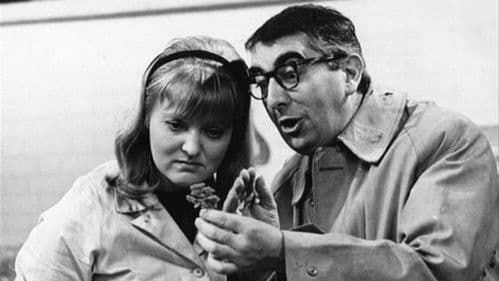 Come Buttercup, Come Daisy, Come......? Bild 1