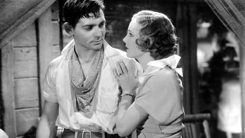 Dschungel im Sturm Bild 4