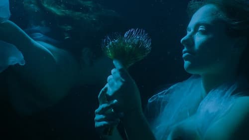 XConfessions 33 Bild 3