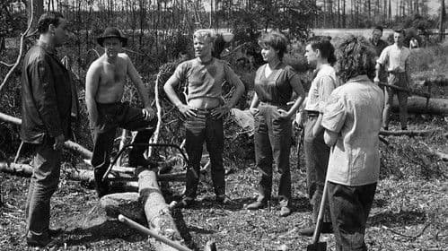 Beschreibung eines Sommers Bild 1