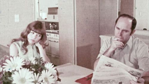 Diary of a Schizo Bild 8