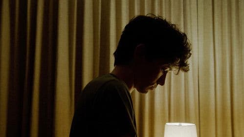 The Bloodhound Bild 1