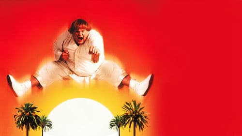 Beverly Hills Ninja - Die Kampfwurst Bild 4