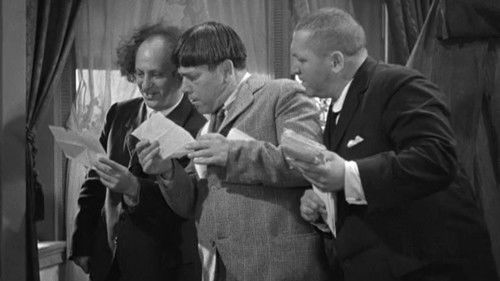 The Sitter Downers Bild 1