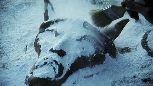 Ba'al - Das Vermächtnis des Sturmgottes Bild 1