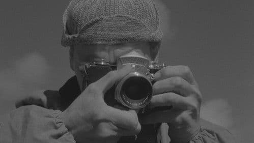 Niewyraźny klekot ptaków Bild 1