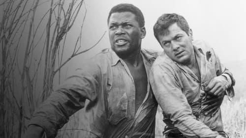 Flucht in Ketten Bild 6