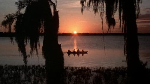 Der Goldschatz der Matecumbe Bild 2