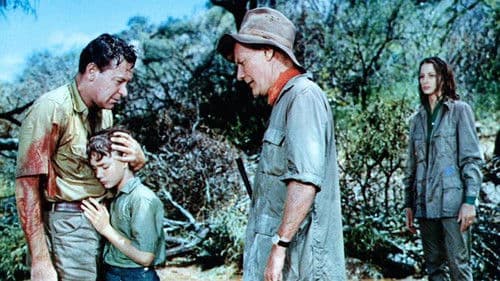 Patricia und der Löwe Bild 3