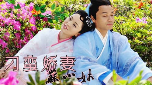 刁蠻嬌妻蘇小妹 Bild 1