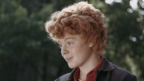 Волшебный голос Джельсомино Bild 3