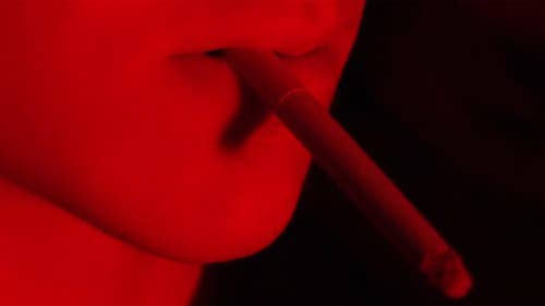 The Money Boys Bild 1