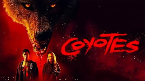 Coyotes Bild 2
