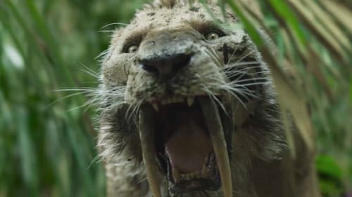 Les Derniers Secrets de l'humanité Bild 6