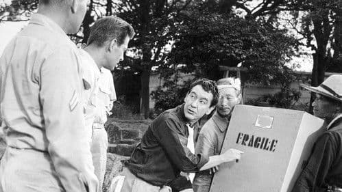 Die Rose von Tokio Bild 2