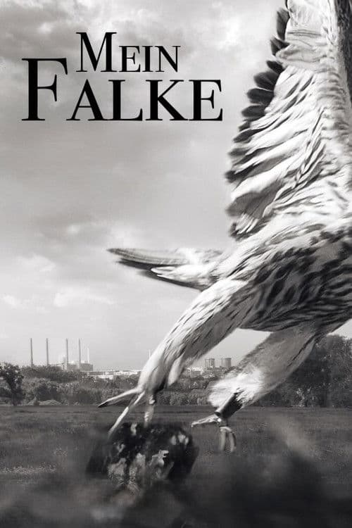 Mein Falke