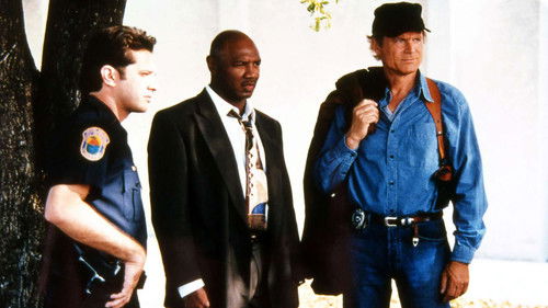 Virtual Weapon Bild 3