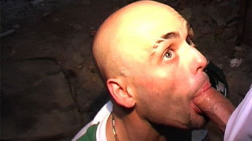 Samir et ses potes Bild 6