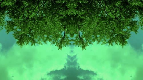 Lemminium: The Movie Bild 1