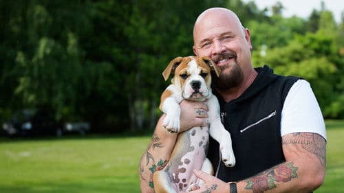 Mitt liv som valp Bild 1