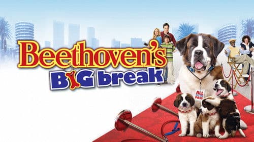 Beethovens großer Durchbruch Bild 5