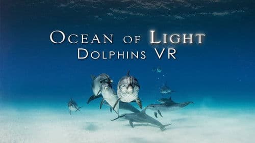 Ocean of Light - Dolphins VR Bild 1