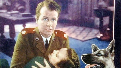 Skull and Crown Bild 1