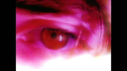 The Yellow Days Bild 2