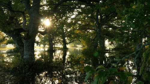 Tuulte tahutud maa Bild 1