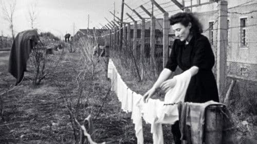 Die Überlebenden. Neuanfang nach dem Holocaust Bild 2