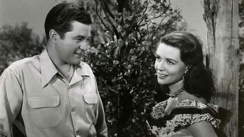 Two Guys from Texas Bild 3