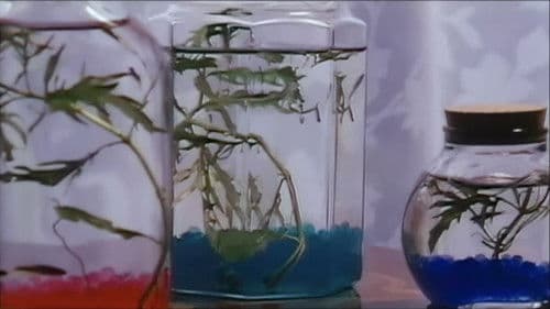 拷問水責め Bild 5