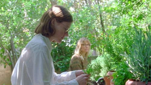 Πολύδροσο Bild 1