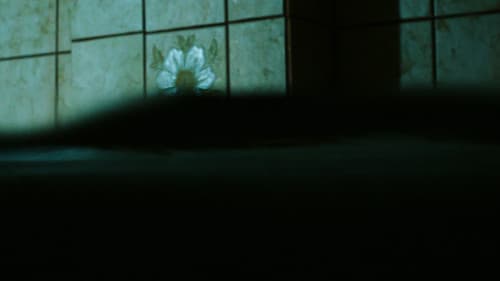 Bei meiner Seele Bild 3