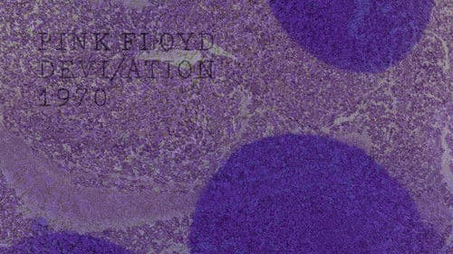 Pink Floyd: The Early Years, Vol 4 - Devi/ation Bild 5