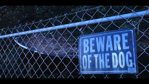 Dead Weight Carries Bild 3