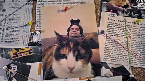 Bitcoin Big Bang - 800 Millionen Dollar verschwinden Bild 2