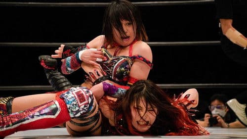 スターダムドリームクイーンダム Bild 4