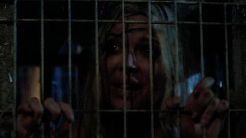 Days of Power Bild 2