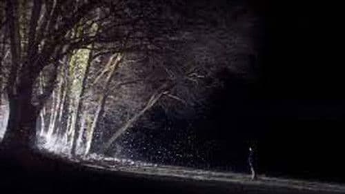 Les particules Bild 1