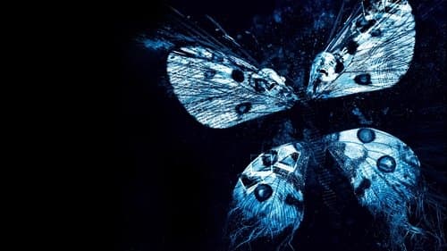 Butterfly Effect 3 - Die Offenbarung Bild 1